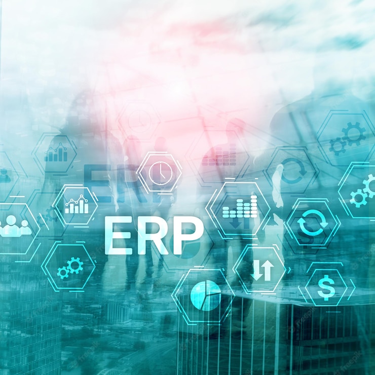 Bespoke ERP Software